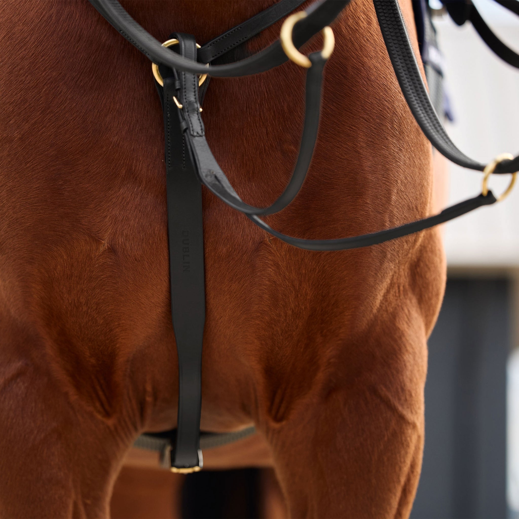 Dublin 3-Point Breastplate - Image 7