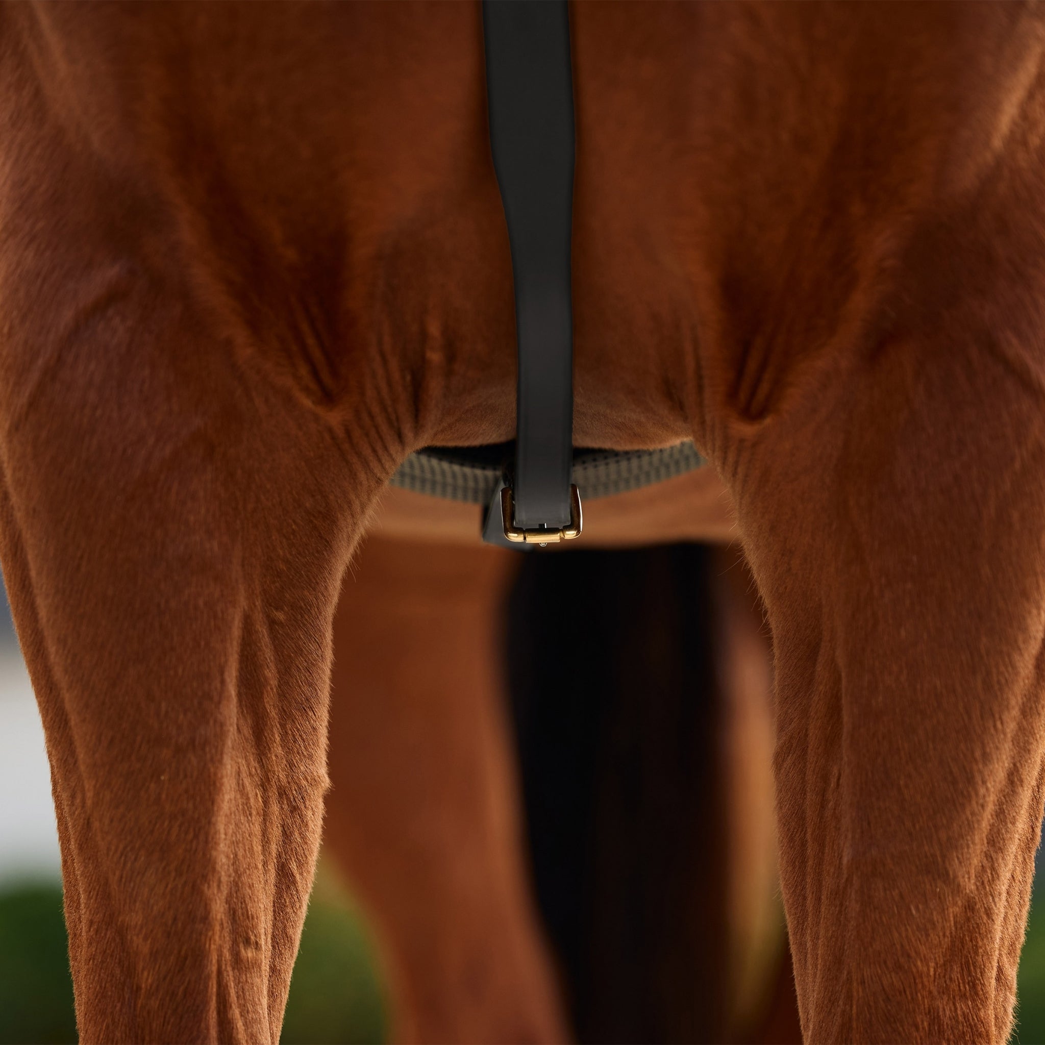 Dublin 3-Point Breastplate - Image 8