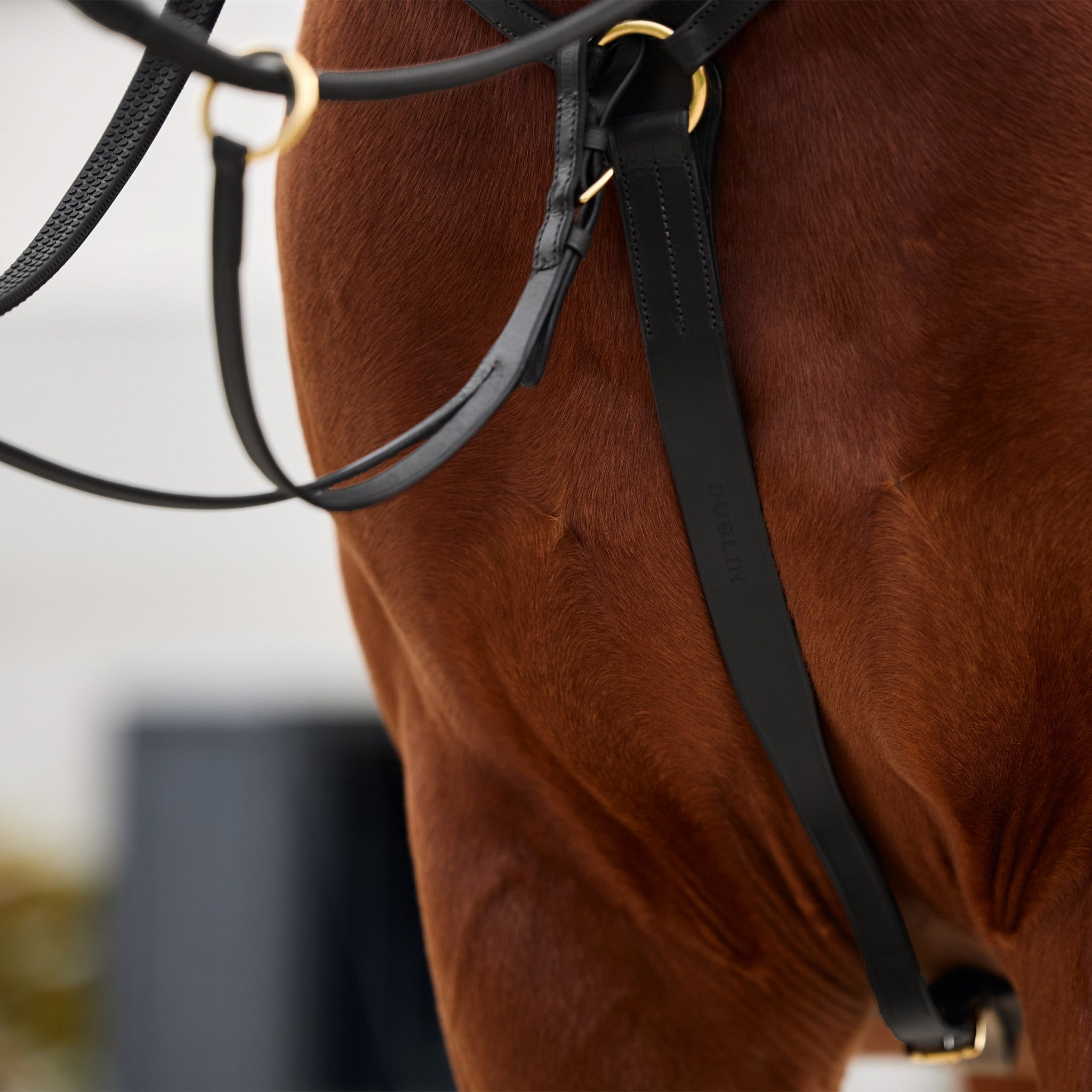 Dublin 3-Point Breastplate - Image 9