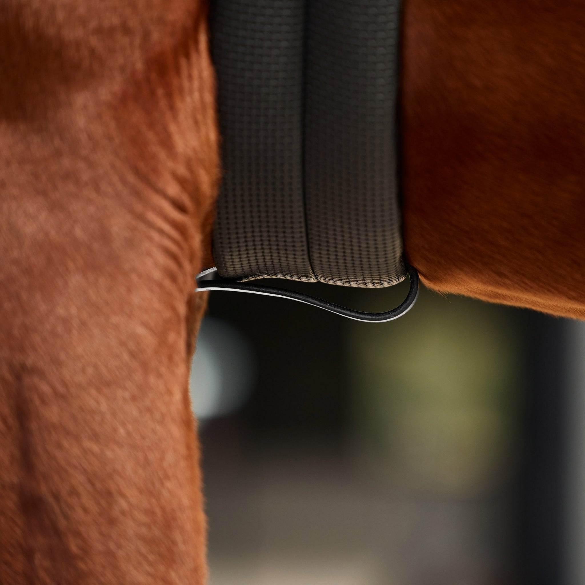 Dublin 3-Point Breastplate - Image 10