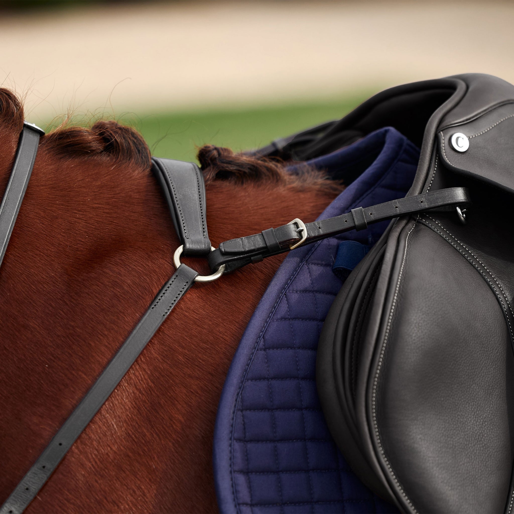 Dublin 3-Point Breastplate - Image 11