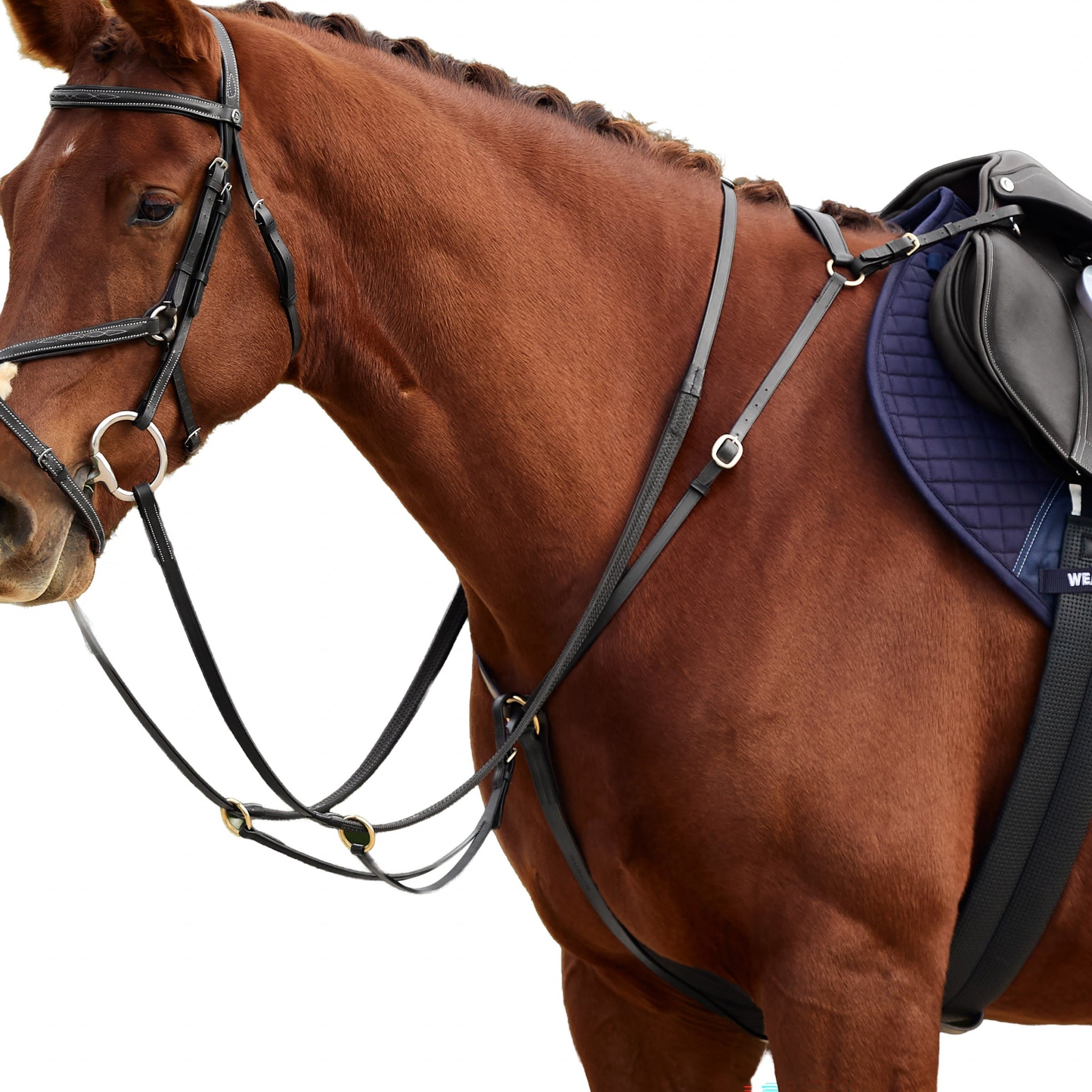 Dublin 3-Point Breastplate - Image 12