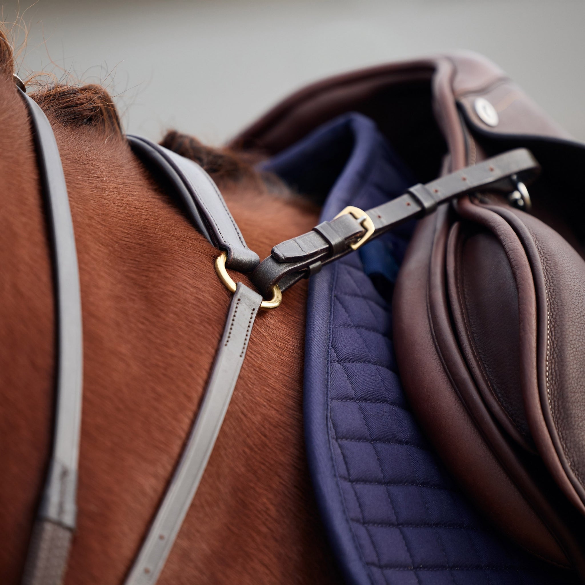 Dublin 3-Point Breastplate - Image 13