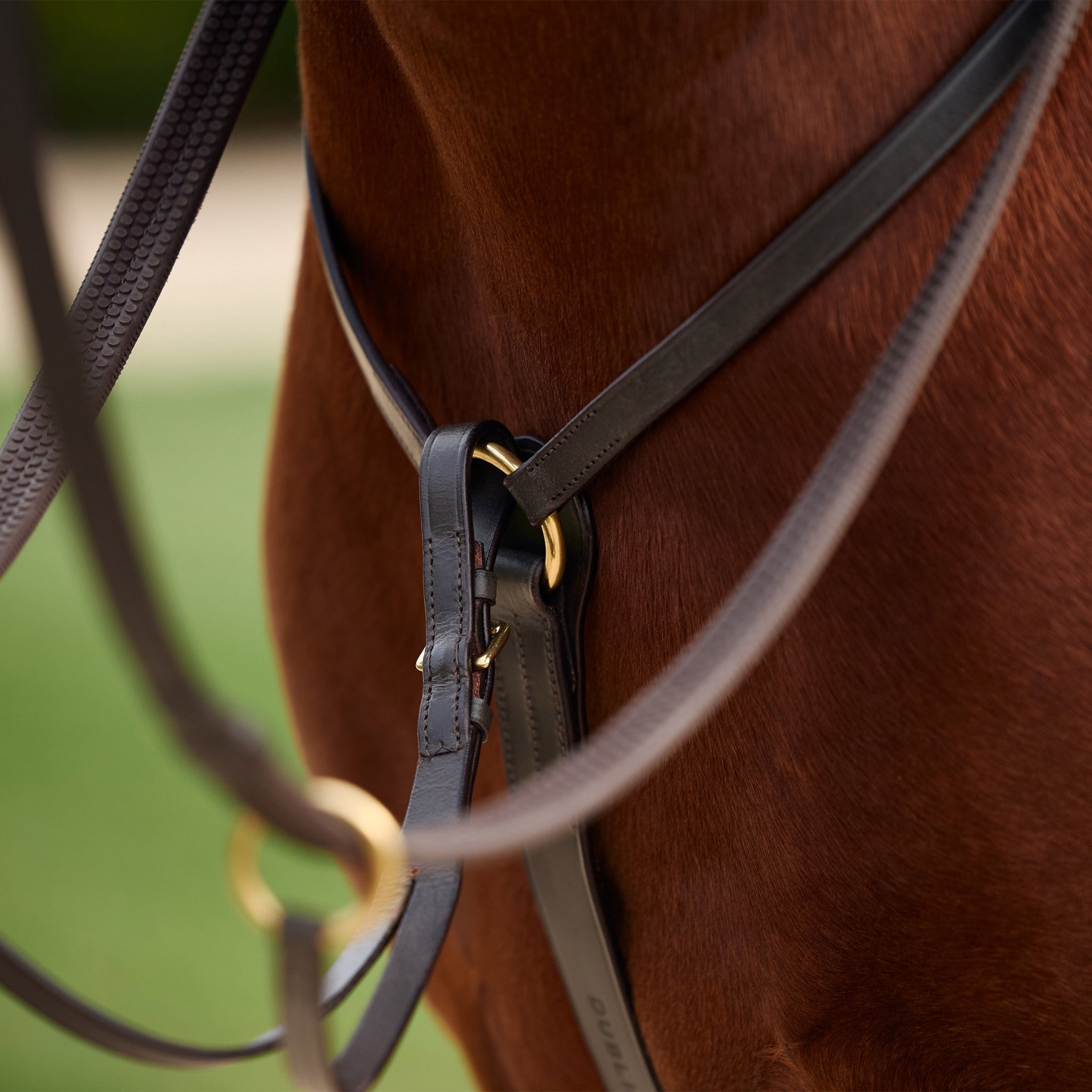 Dublin 3-Point Breastplate - Image 15