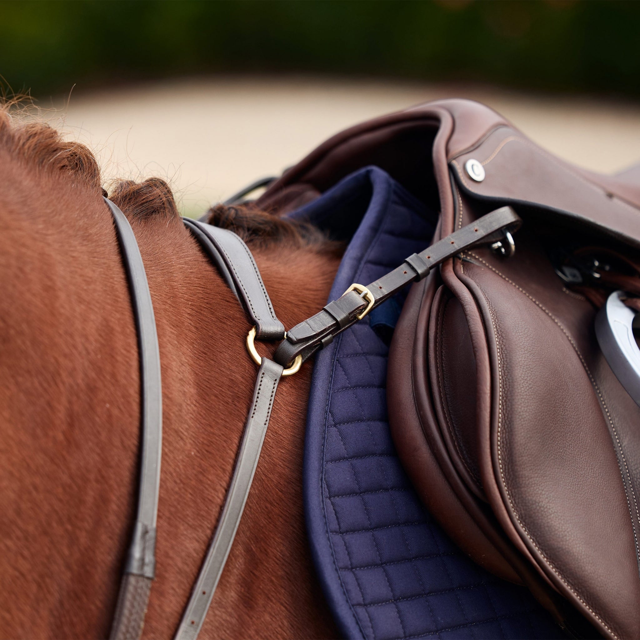 Dublin 3-Point Breastplate - Image 16