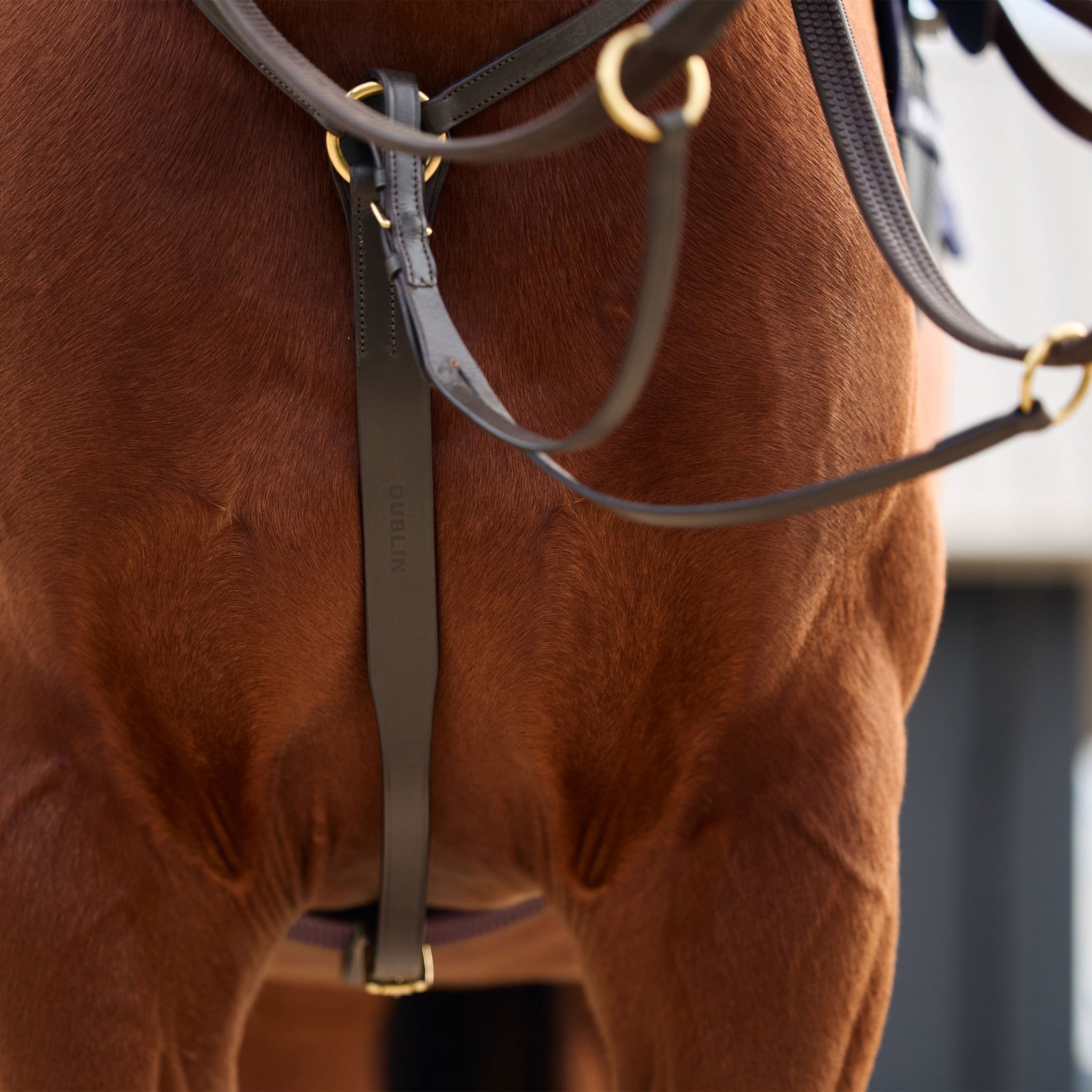 Dublin 3-Point Breastplate - Image 17
