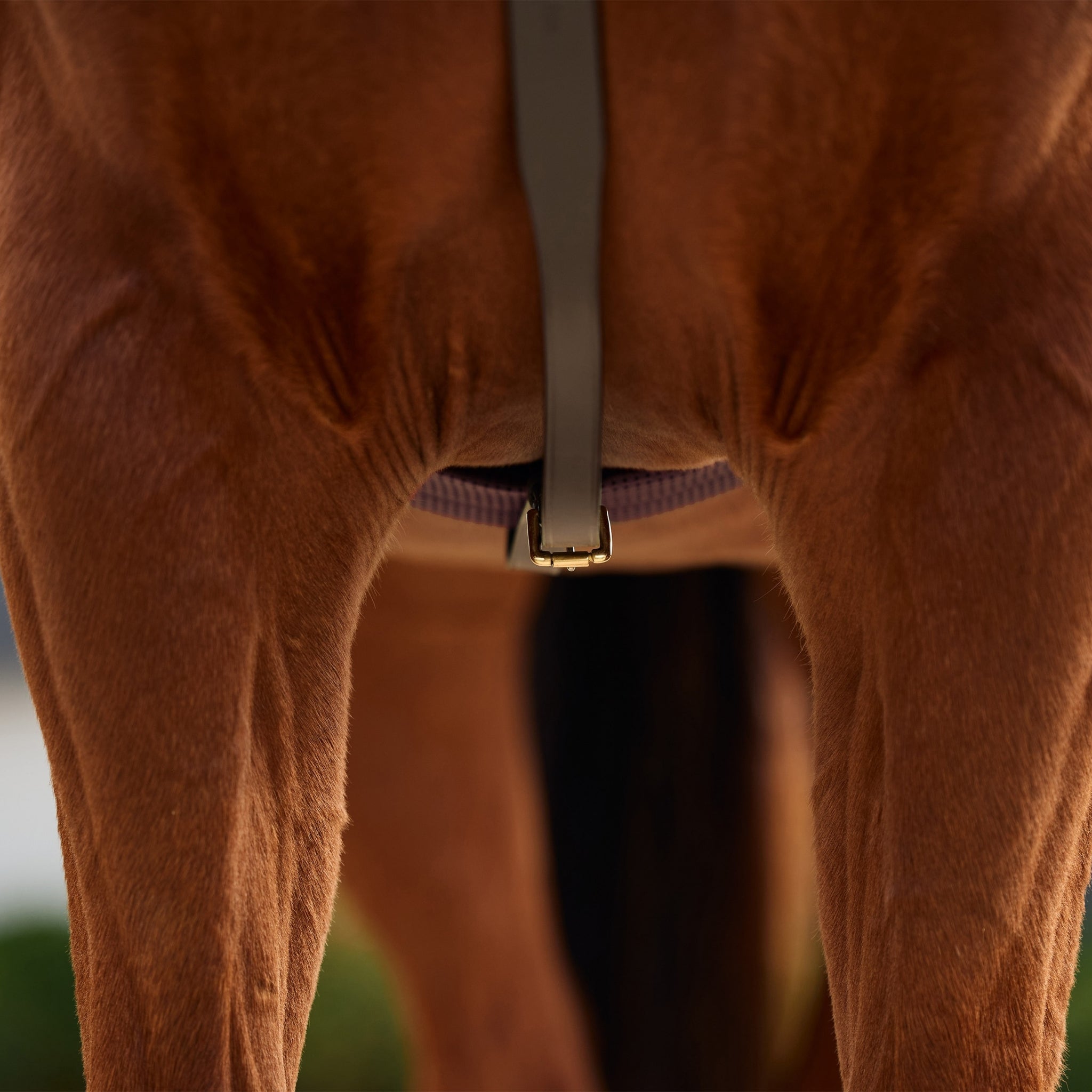 Dublin 3-Point Breastplate - Image 18
