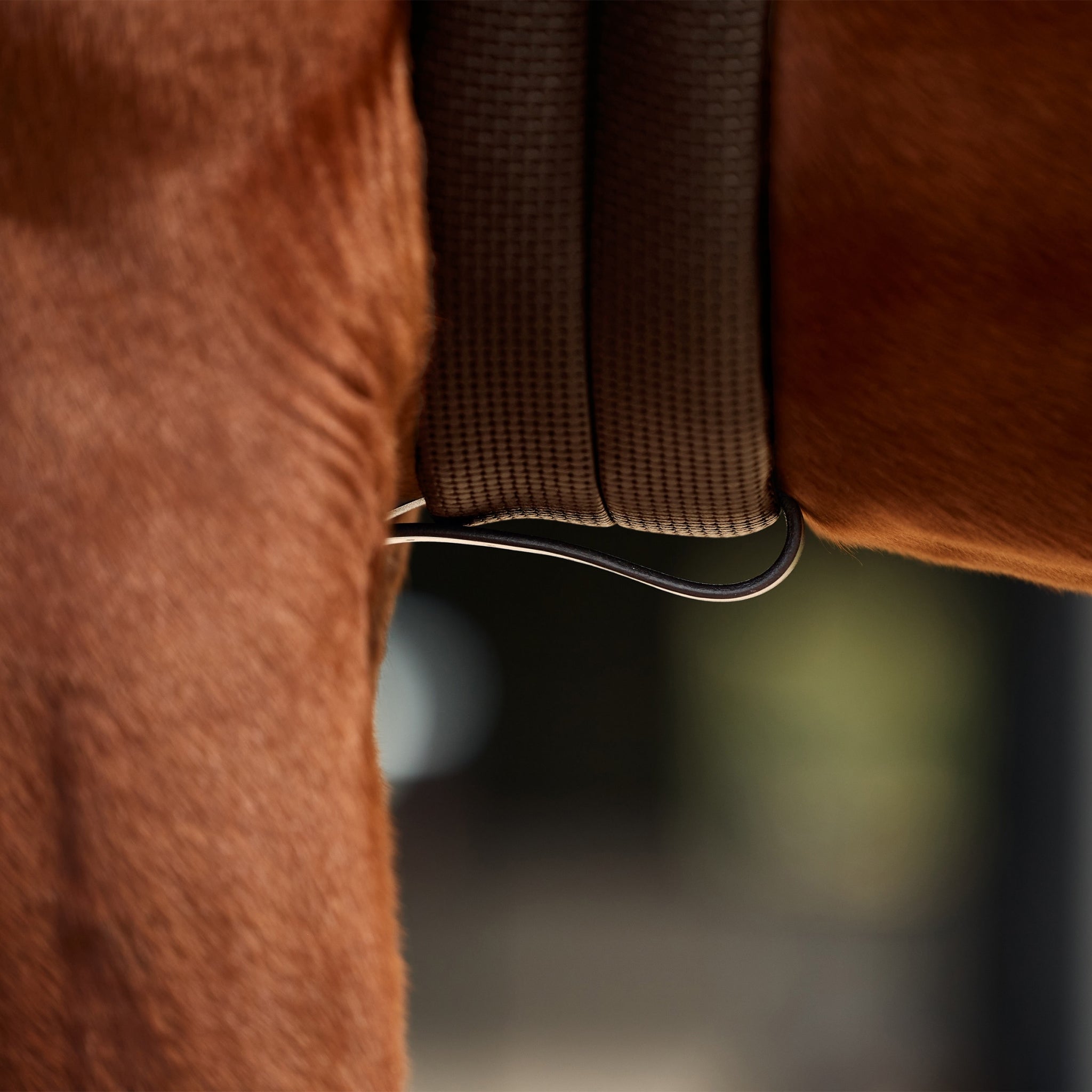 Dublin 3-Point Breastplate - Image 20