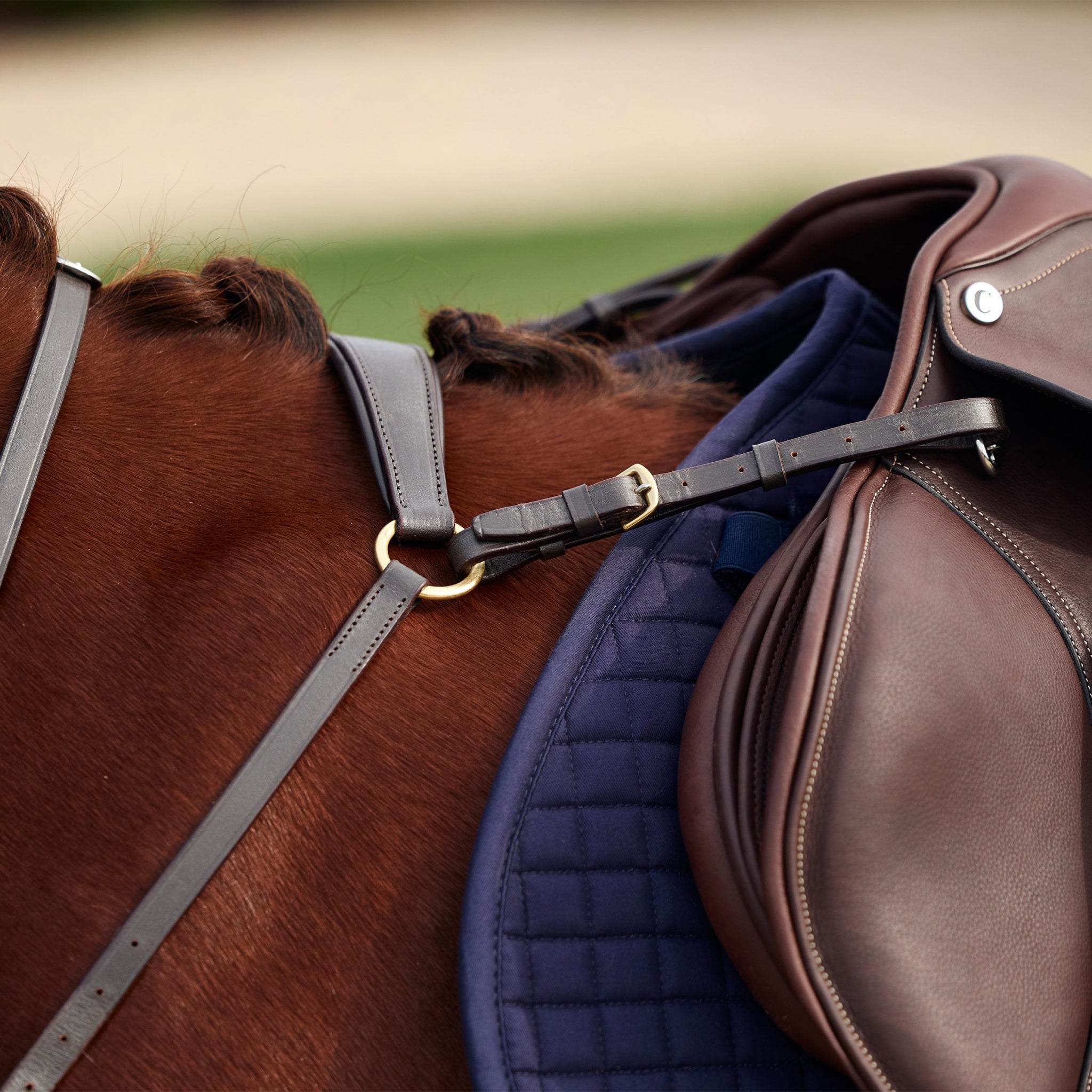 Dublin 3-Point Breastplate - Image 21