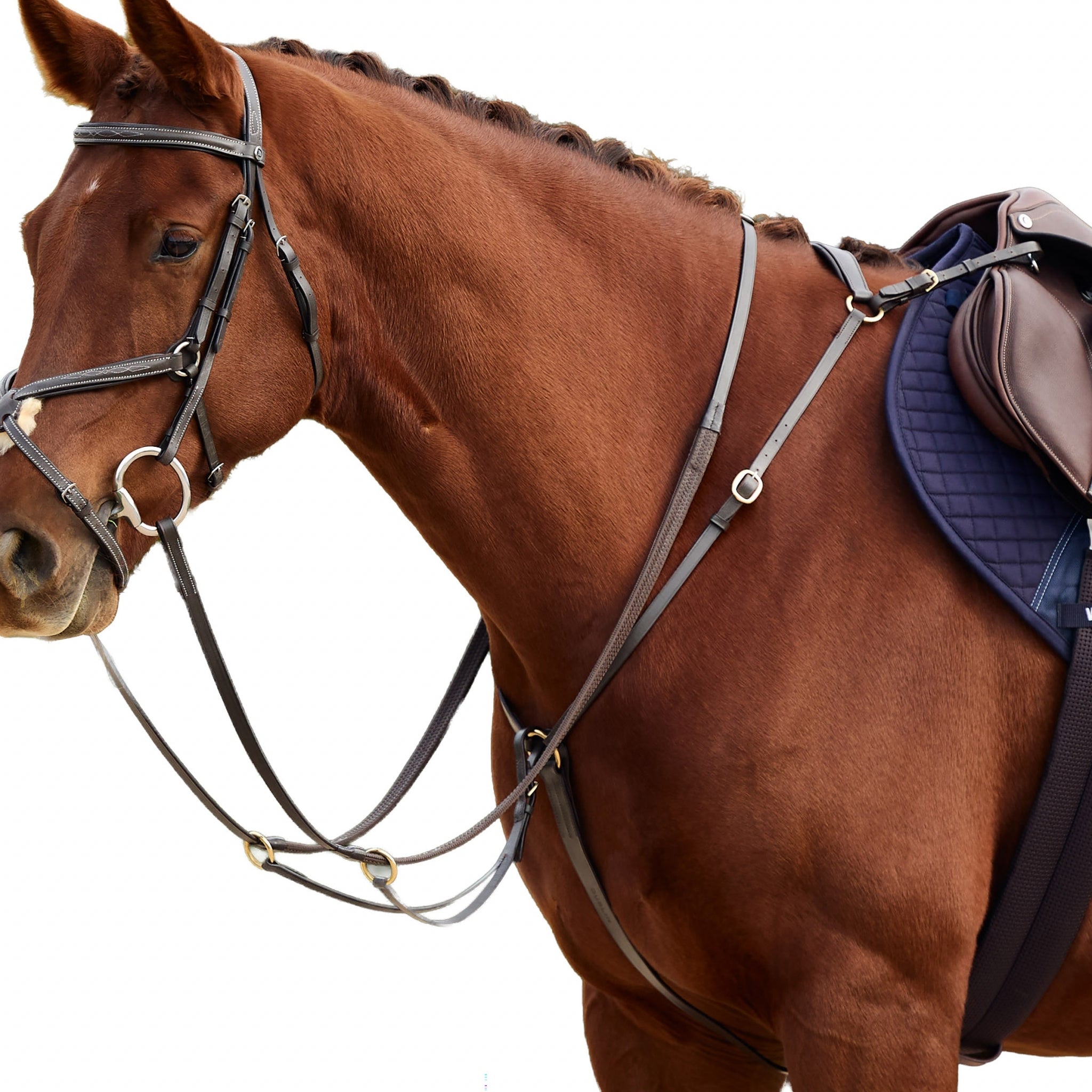 Dublin 3-Point Breastplate - Image 22
