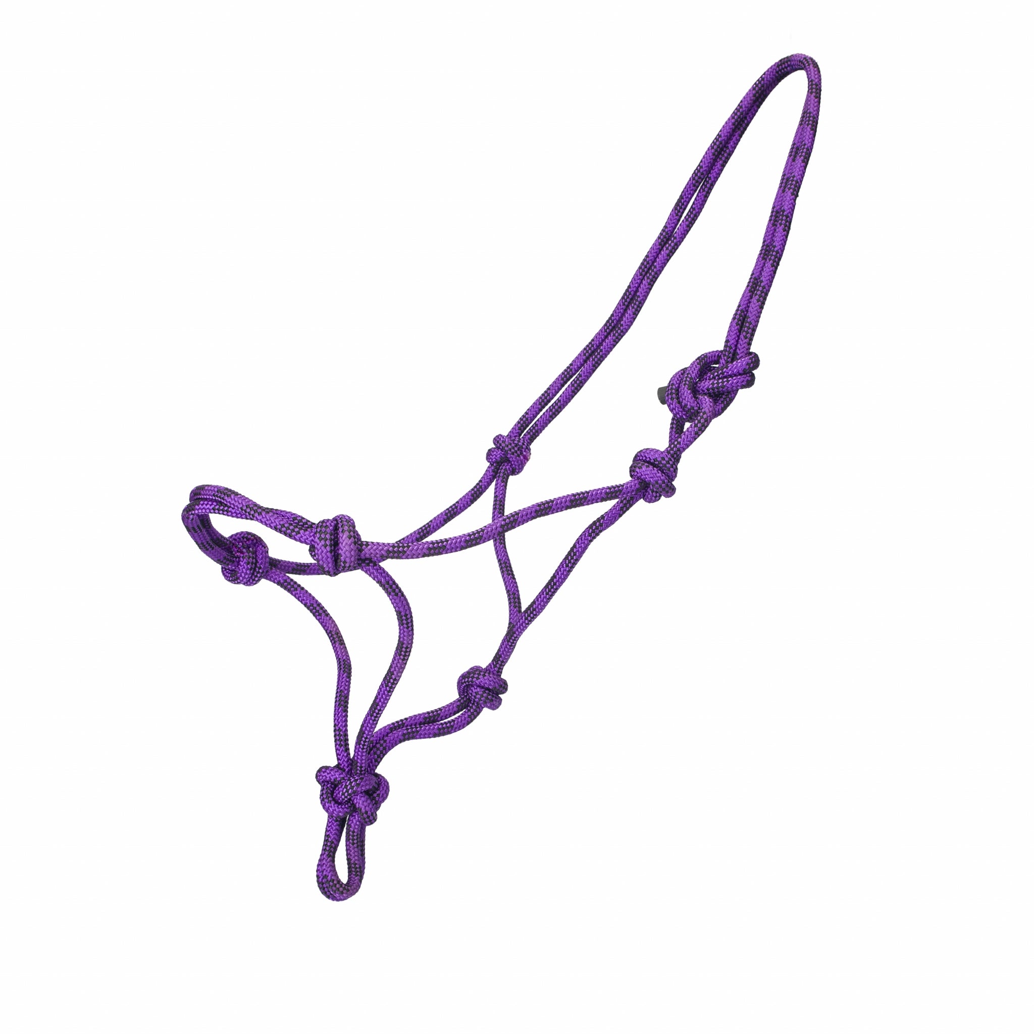 GATSBY Polypropylene Rope Halter - Image 2