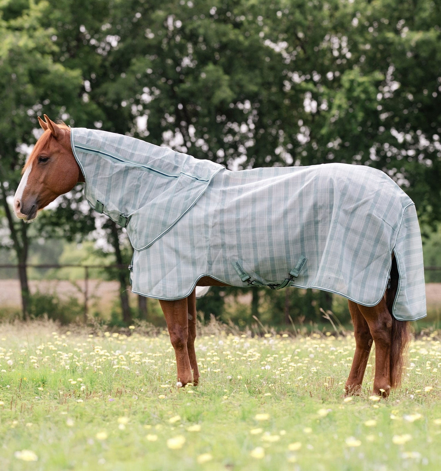Horseware Newmarket Quarter Horse Plus Fly Sheet - Image 2