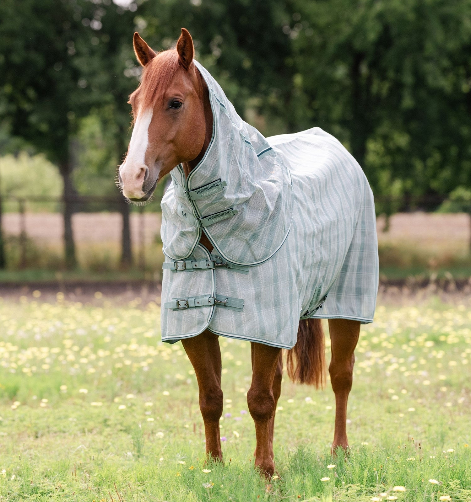 Horseware Newmarket Quarter Horse Plus Fly Sheet - Image 6