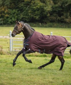 Amigo 1200D Turnout 50g