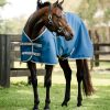 Horseware Ionic Therapy Quarter Horse Turnout 100g