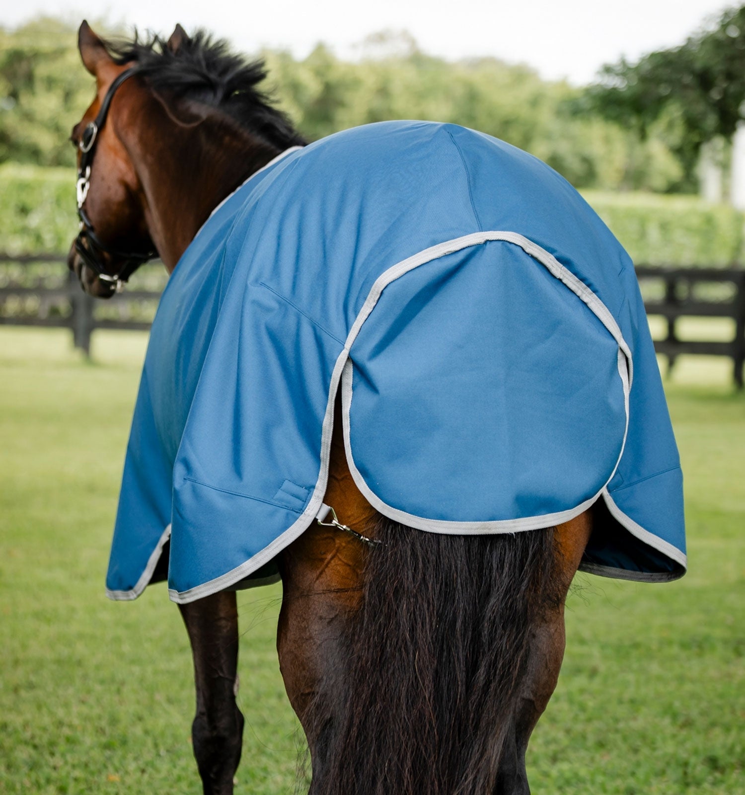 Horseware Ionic Therapy Quarter Horse Turnout 100g - Image 3