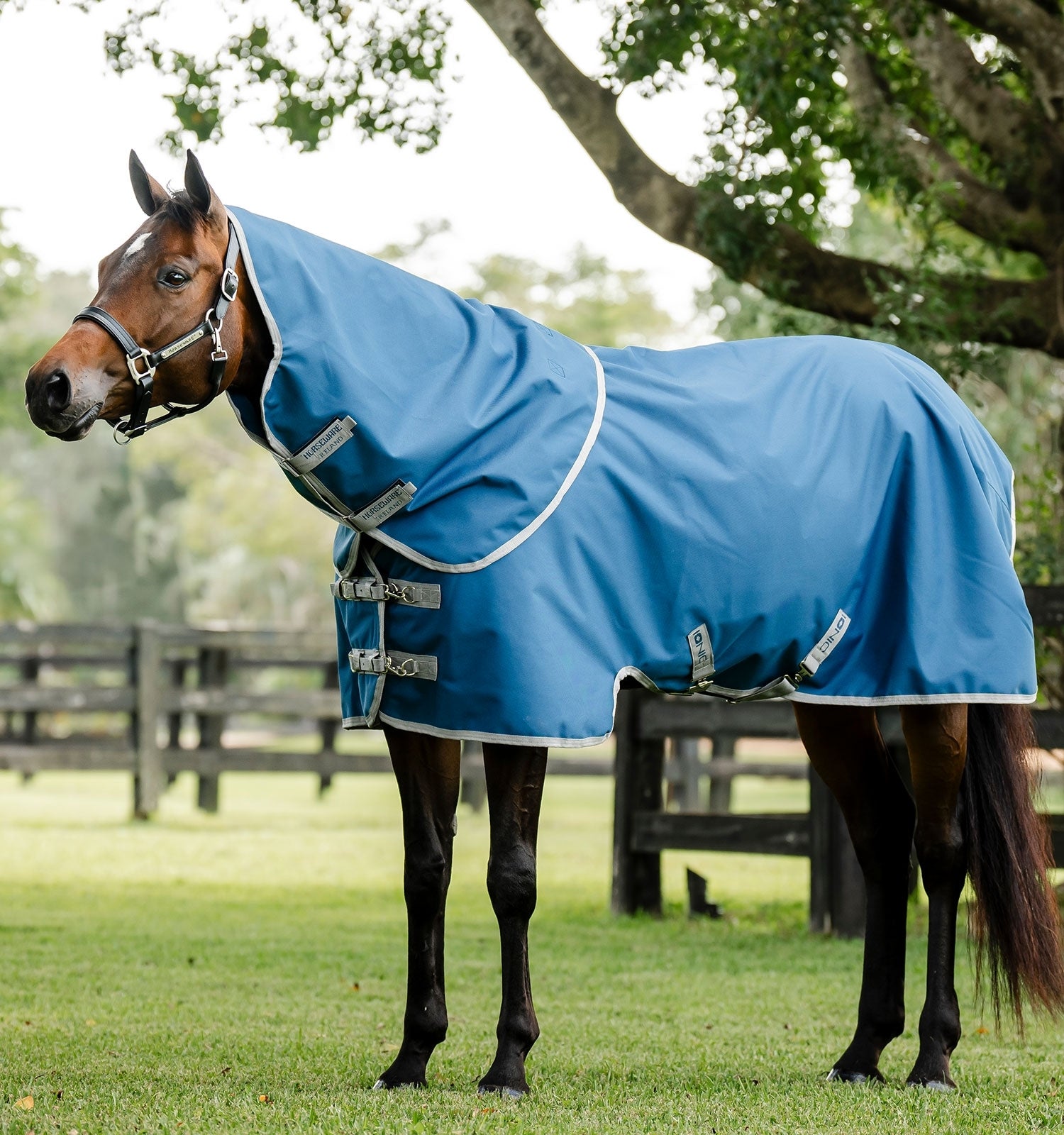 Horseware Ionic Therapy Quarter Horse Turnout 100g - Image 4