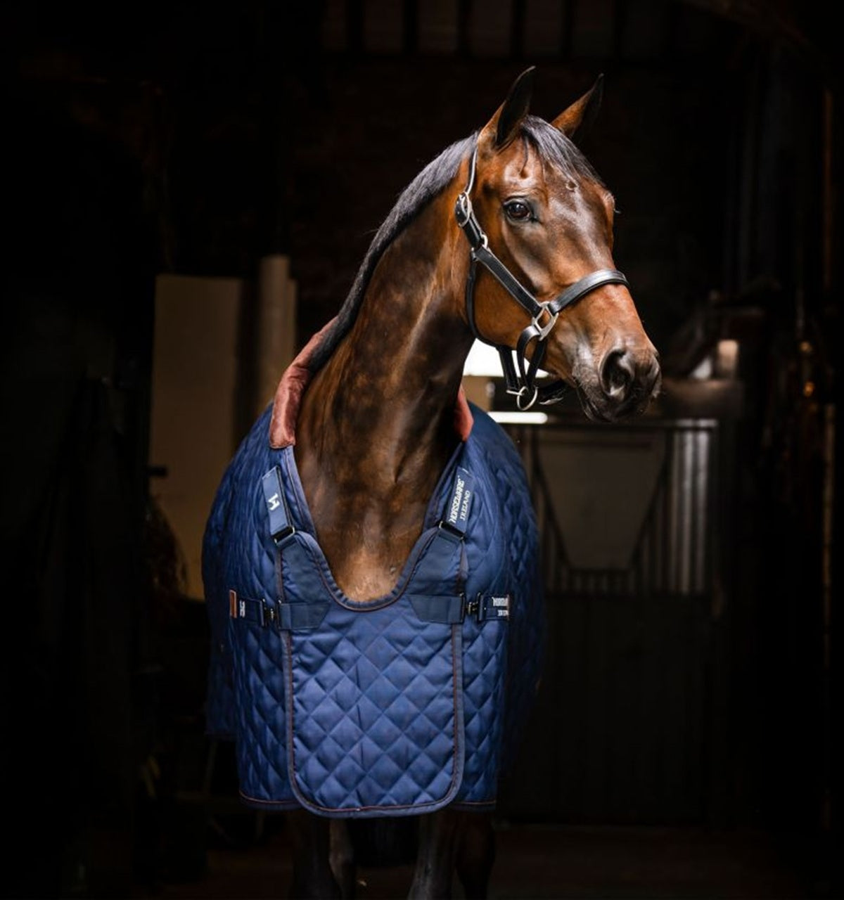 Horseware Signature Stable 200g - Image 2