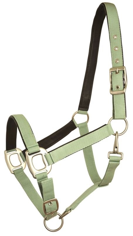 Gatsby Leather Pad Nylon Halter - Image 3
