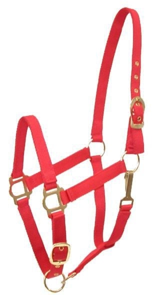 Gatsby Adj Nylon Halter/Snap - Image 7