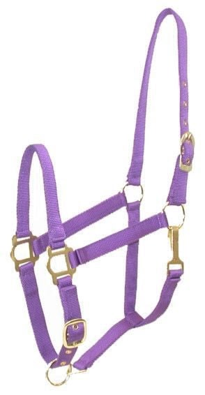 Gatsby Adj Nylon Halter/Snap - Image 6