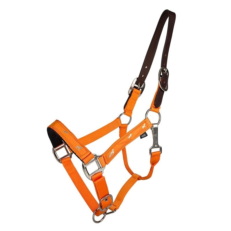 Gatsby Nylon Breakaway Halter Overlay - Image 6