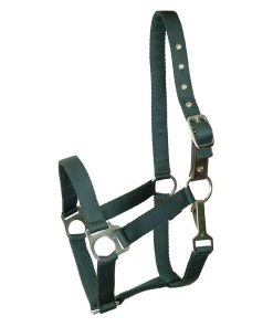 Alternative view of Gatsby Nylon Safety Breakaway Halter