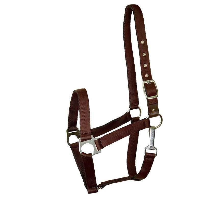 Gatsby Nylon Safety Breakaway Halter - Image 3