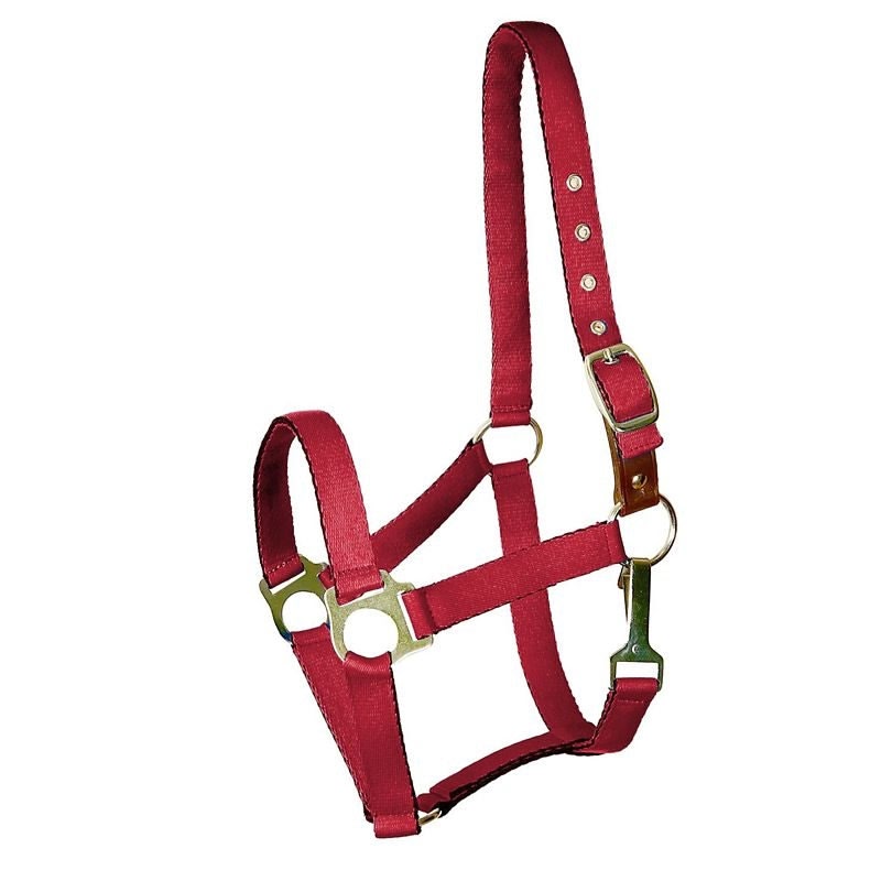 Gatsby Nylon Safety Breakaway Halter - Image 6