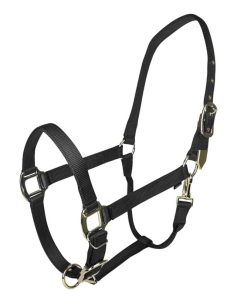 Gatsby Gold Adjustable Nylon Halter